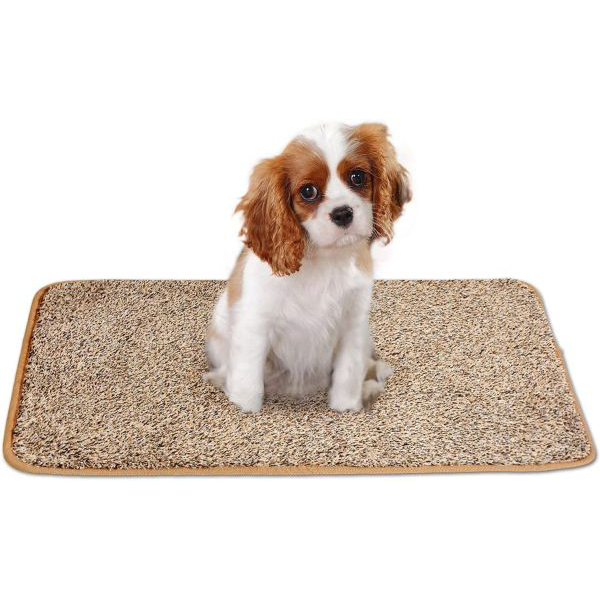 Doormat Non-Slip Machine Washable Dirt Trapper Doormat for Indoor and Covered Outdoor